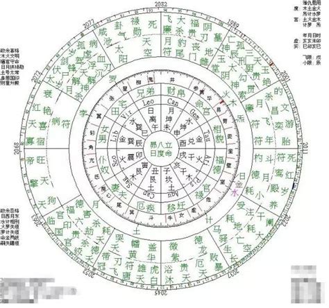 星算|紫微斗数在线排盘